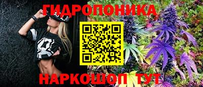 ПСИЛОЦИБИНОВЫЕ ГРИБЫ Новокубанск