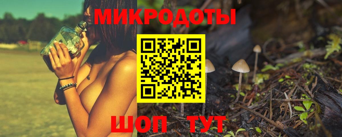 Псилоцибиновые грибы Magic Shrooms  купить наркотики сайты  Щёлково  Вход с VPN 